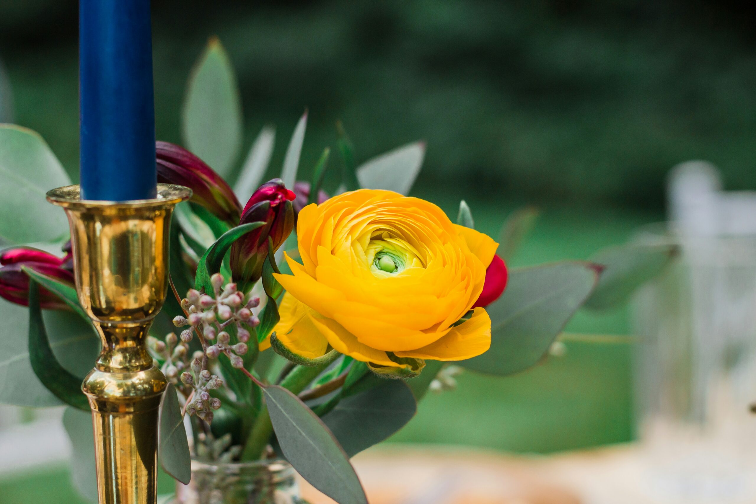 Photo de Philippe COLOMBIER